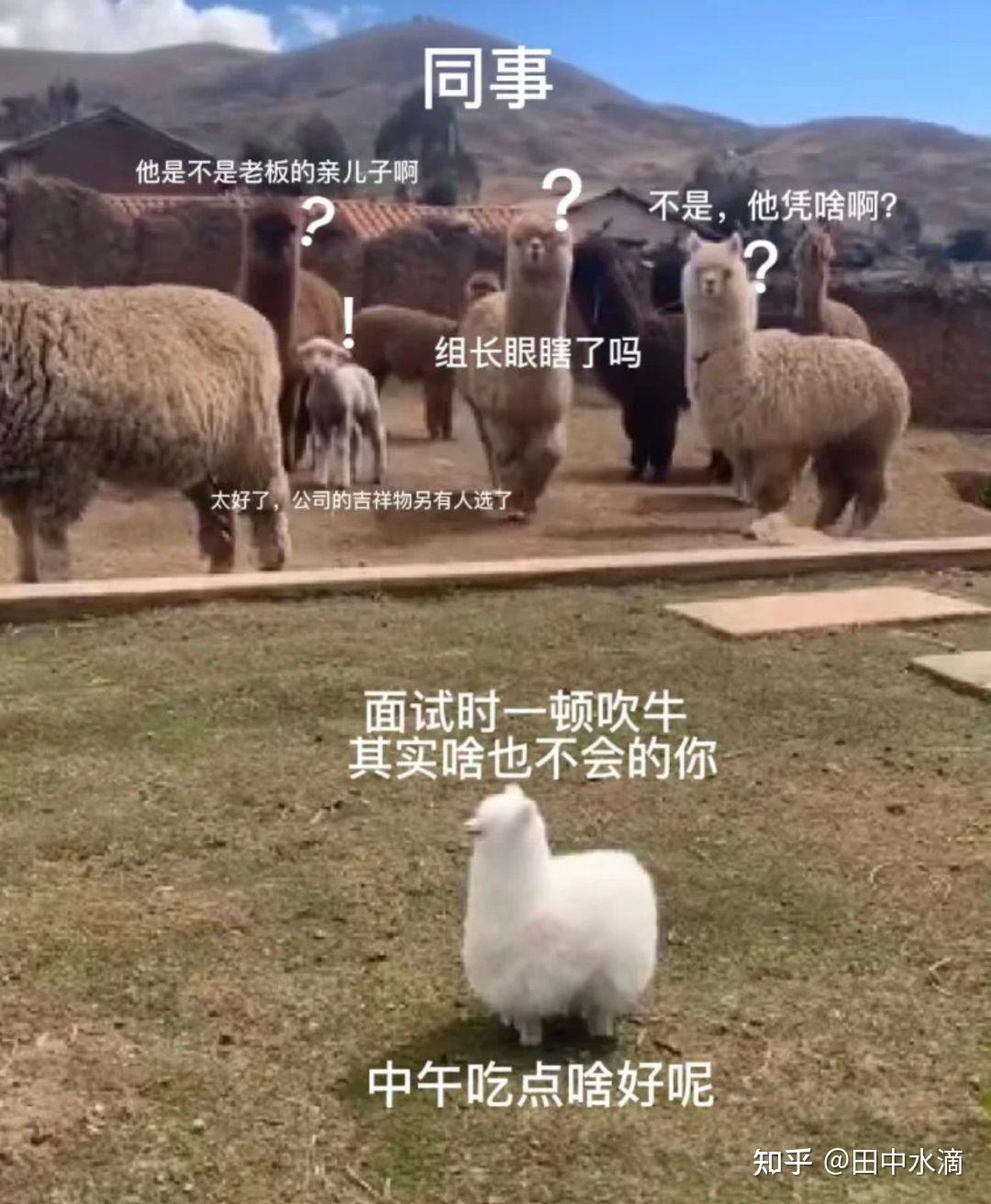 3523