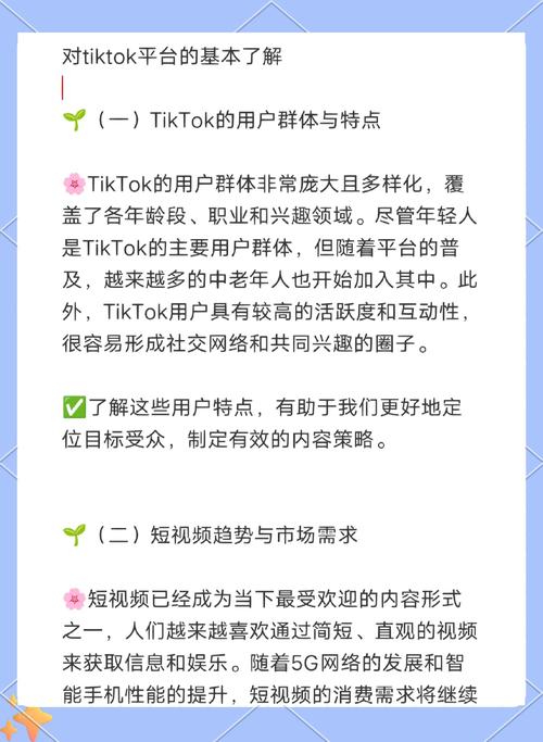 视频号_短视频买粉刷赞平台_TikTok粉丝购买慢双击