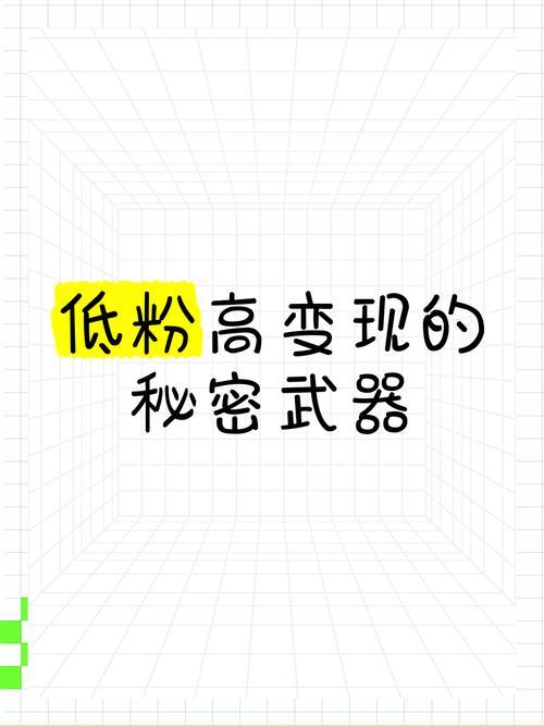 小红书刷粉内幕_买粉_低价高质量刷粉秘密