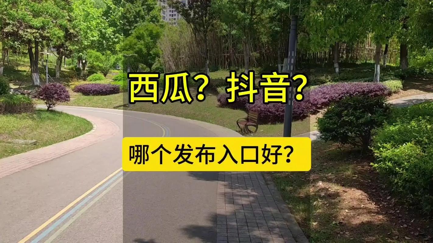 抖音中视频伙伴计划发布_头条播放_抖音西瓜视频小程序入口