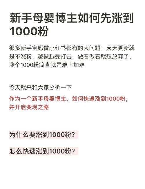 b站如何快速涨粉1000_1000粉_b站粉丝增长策略教程