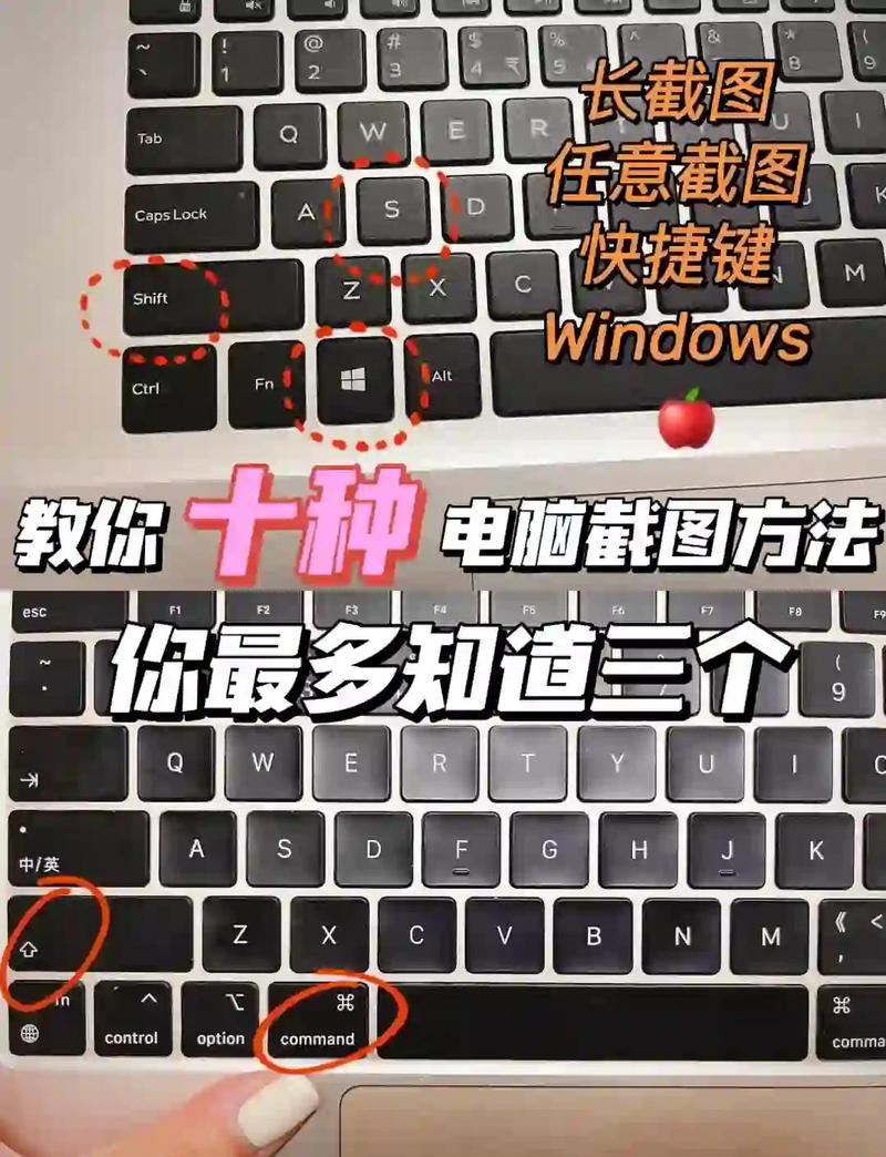 小红书电脑端图片放大技巧_小红书电脑拍照放大方法_小红书