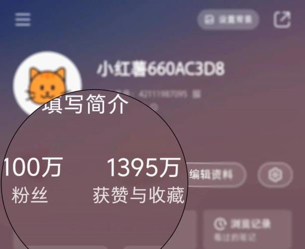 刷会员网站永久网址买粉丝_抖音粉丝赞免费平台网站_涨粉