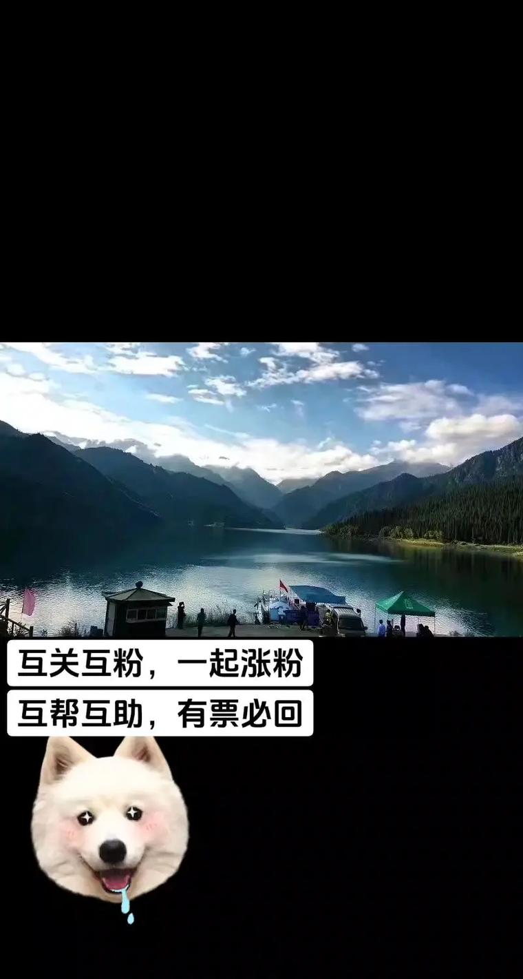 做公众号不搞互粉_涨粉_公众号新手涨粉方法