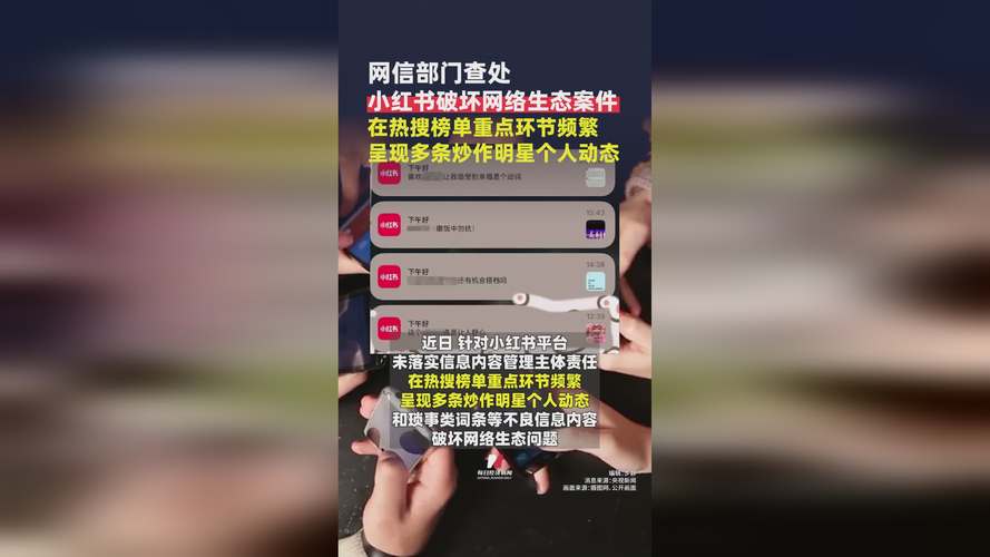 小红书_小红书网信办处罚 约谈责令改正 警告从严处理责任人