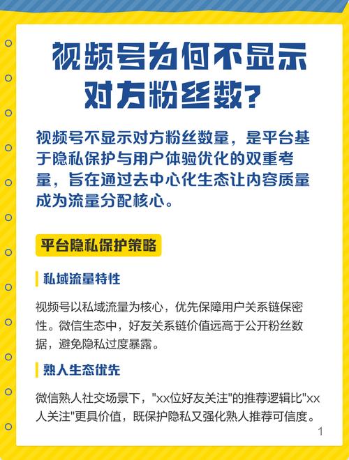 关注_关注的意思_关注的英文